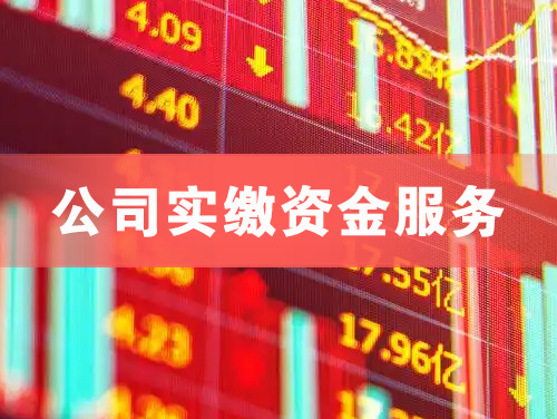 赤水公司实缴资金服务